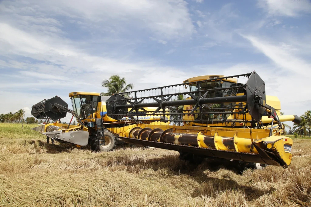 Safra de arroz registra recorde mais uma vez em Sergipe