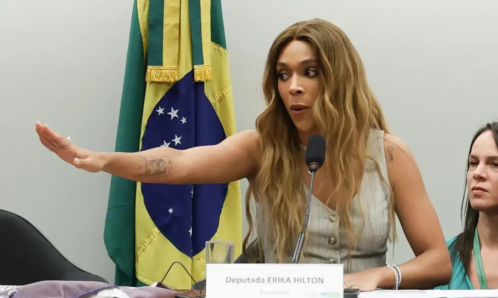 Comissão enfrentará “sistema organizado de opressão”, diz Erika Hilton