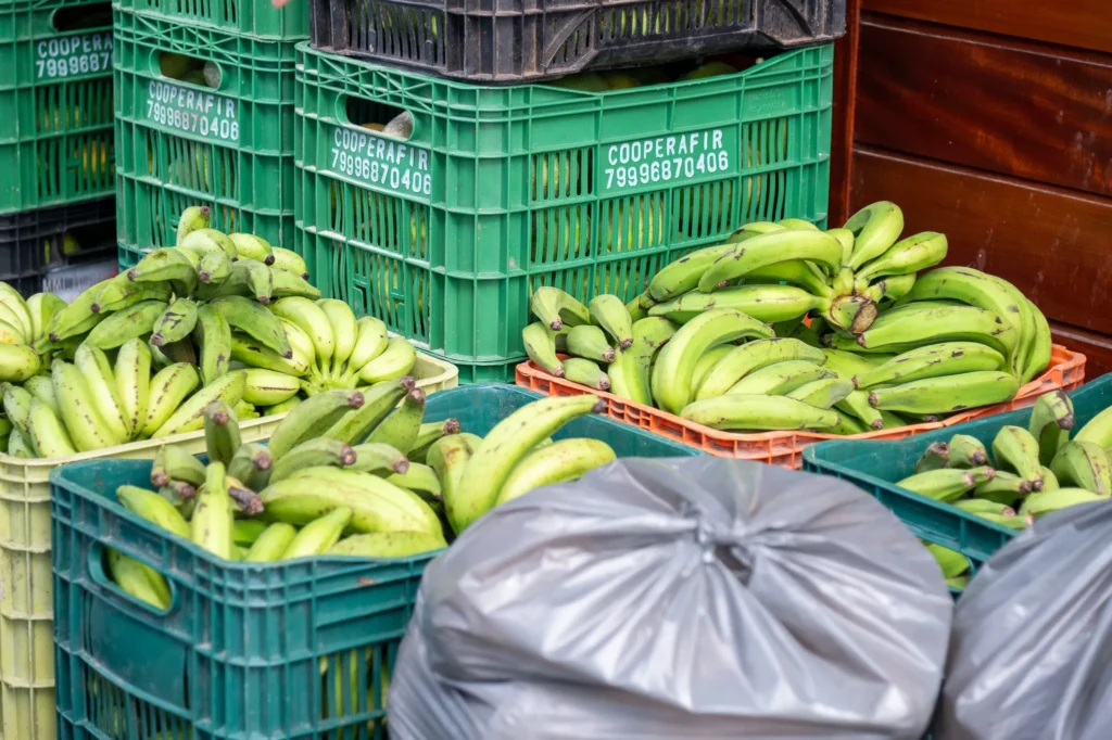 PAA Estadual realiza entrega de cerca de 7 toneladas de alimentos no bairro Lamarão em Aracaju